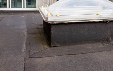 disadvantages of Scawton flat roofs