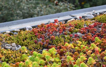 the cost of Scawton green roof installation