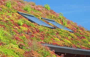 Scawton living roof systems
